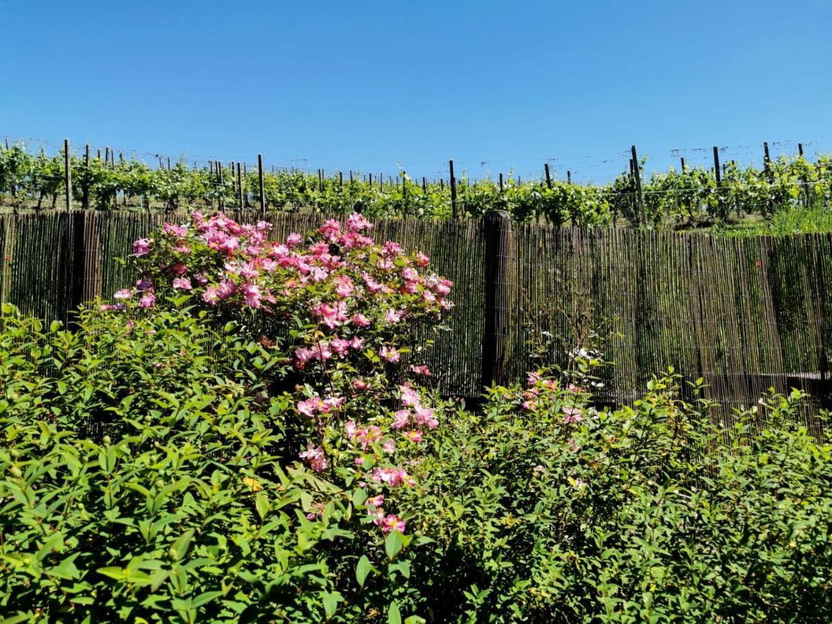 B&B Casa Percivalle Borgo Priolo Dış mekan fotoğraf